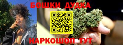 молекула духа Будённовск